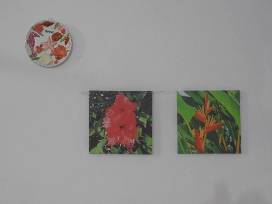Studio Hibiscus-Ch Vue Sur Mer,Plage,Clim レザンセス・ダルレット エクステリア 写真